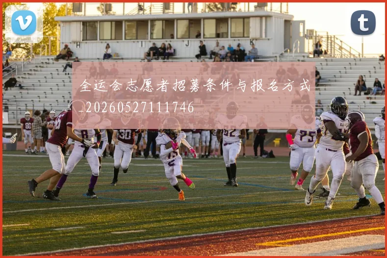 全运会志愿者招募条件与报名方式_20260527111746