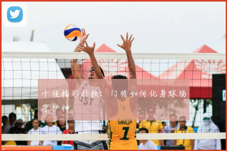 十佳精彩扑救：门将如何化身球场守护神